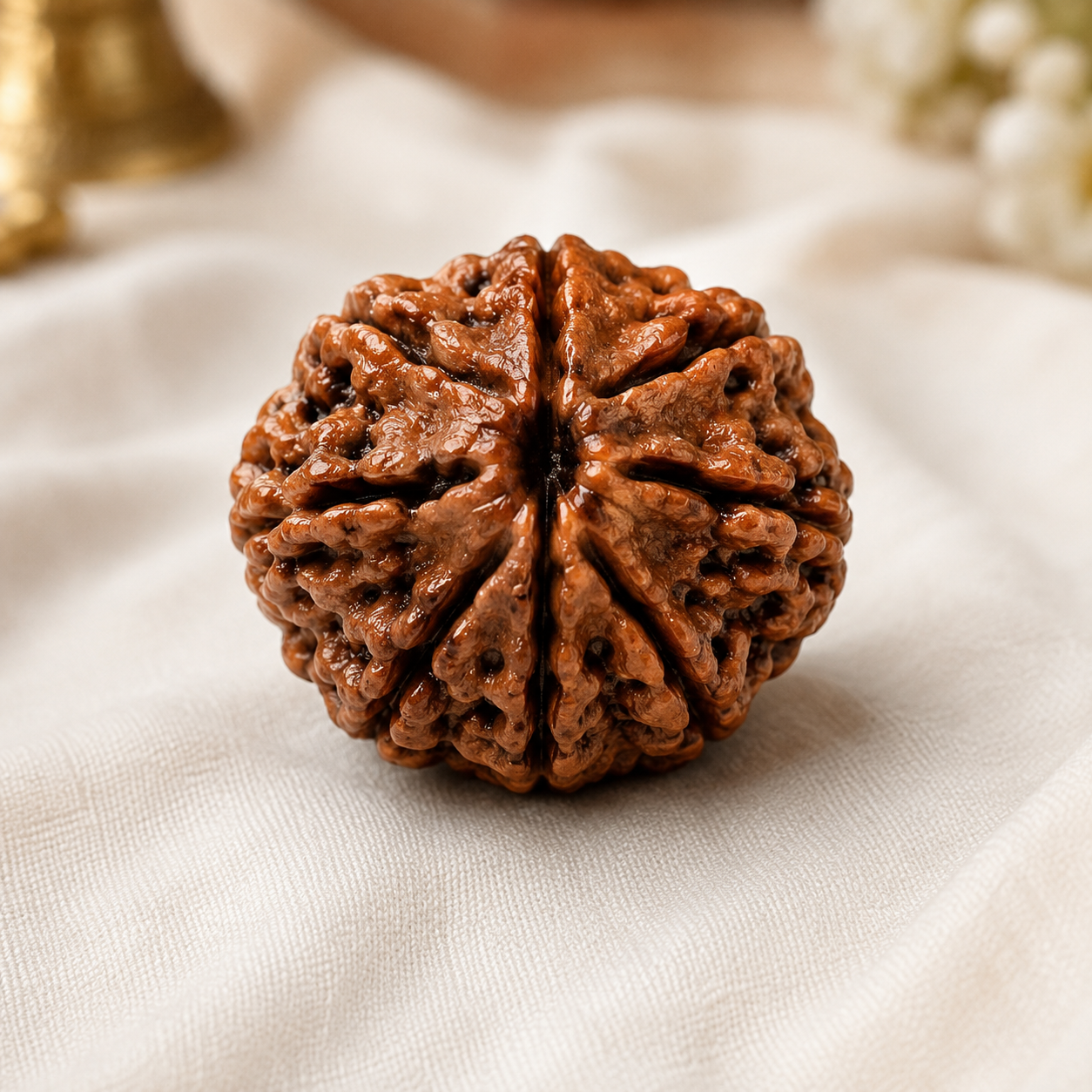 6 Mukhi