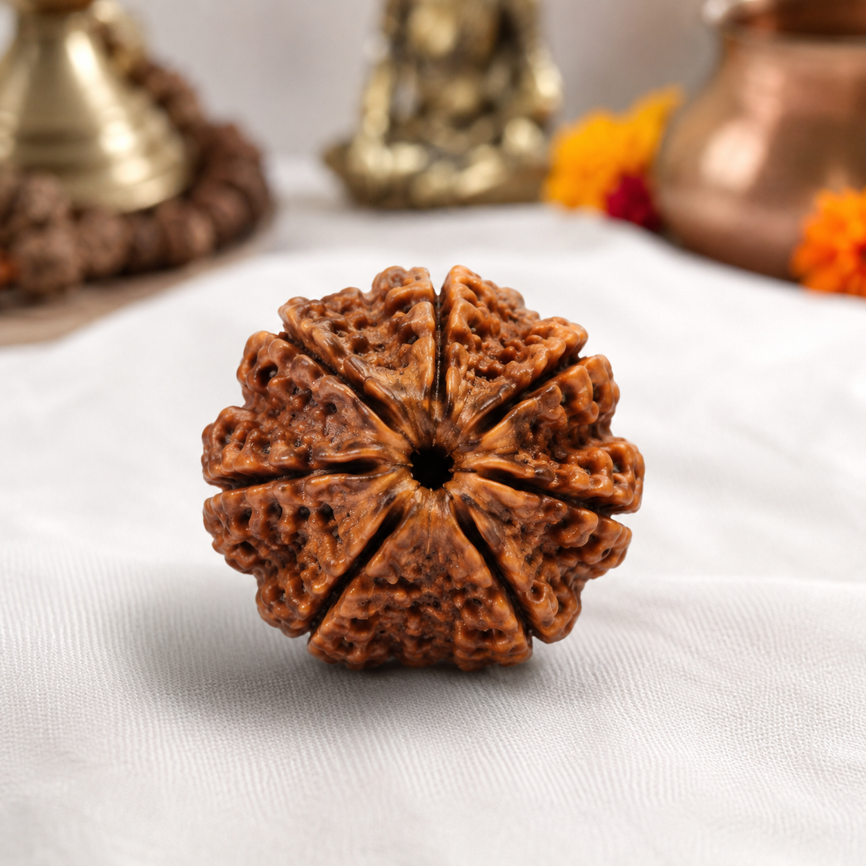 8 Mukhi